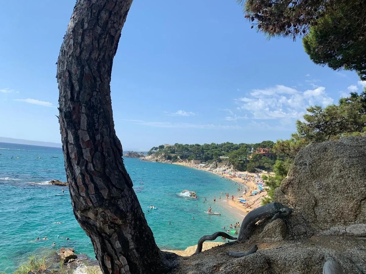 Appartement Antonella II à Castell-Castell-Platja d'Aro